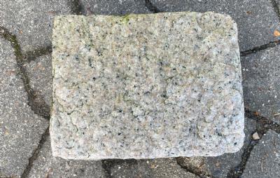 salg af 10 stk. Klosterhvede rosa 10 cm