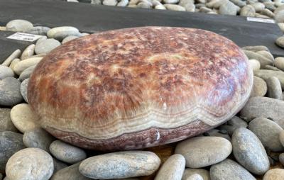 salg af Flodsten mini oval