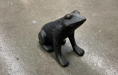 salg af Frø sort metal