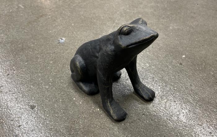 salg af Frø sort metal