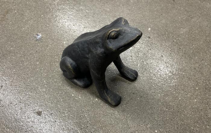 salg af Frø sort metal