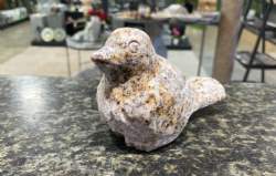 gul granit fugl