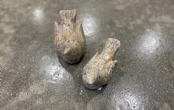 fugle gul granit pol eret