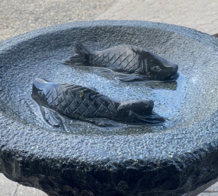 salg af Fuglebad med polerede fisk