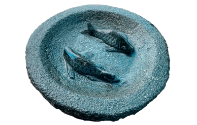 salg af Fuglebad med polerede fisk