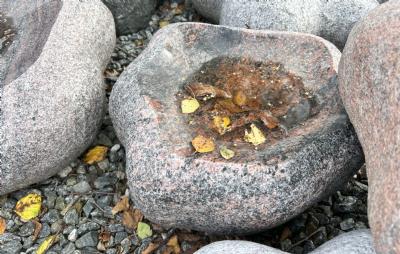 salg af Fuglebad naturform bølget