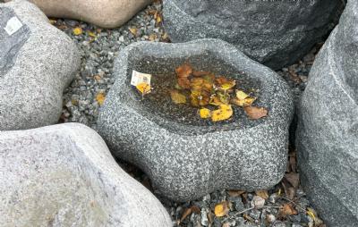 salg af Fuglebad naturform bølget