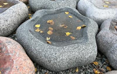 salg af Fuglebad naturform bølget