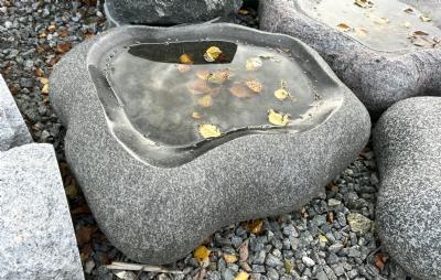 salg af Fuglebad naturform bølget