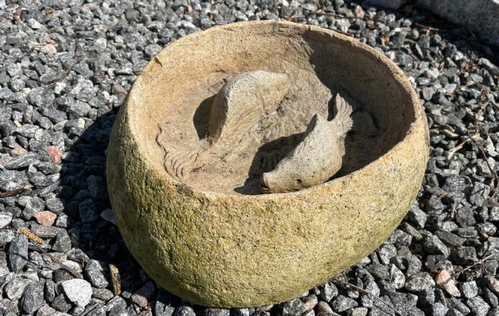 salg af Fuglebad natursten med fisk