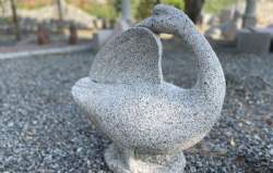 gås granit