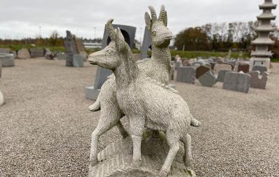 salg af Gedebukke på klippestykke