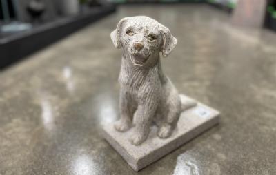 salg af Granit hund Golden Retriever