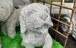 Granit hund gråsort med løftet pote