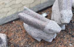 kanin rød
