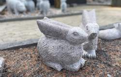 kanin hare rød granit