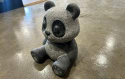 Panda nuttet