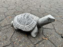 Granit skildpadde L 30cm
