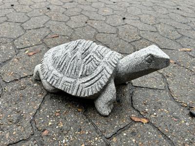 salg af Granit skildpadde L 30cm