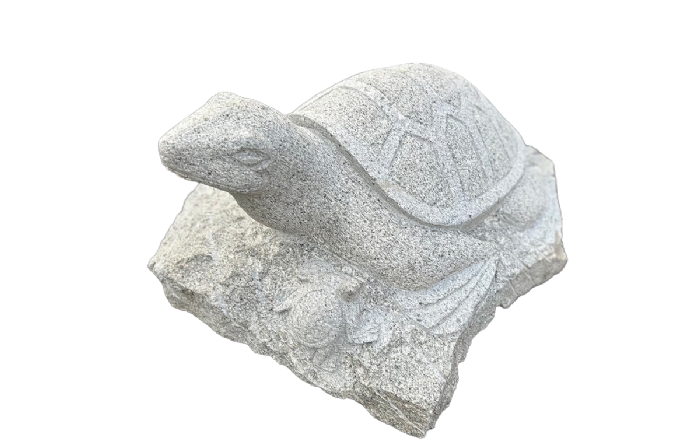 salg af Granit skildpadde med unge på blok