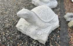 skildpadde med unge