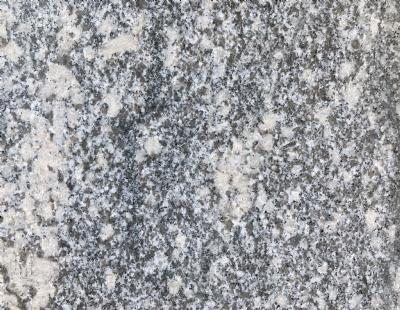 salg af Granitfliser grå 40 x 40 x 3 cm
