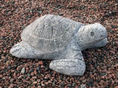 salg af Granitskildpadde i lys grå granit