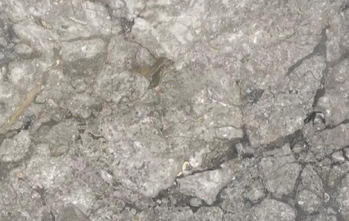 salg af Grigio Billiemi marmor