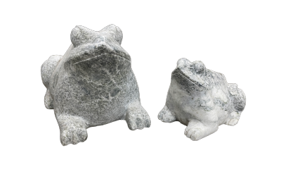 salg af Grøn marmor frø