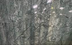 vandskade liggende gua