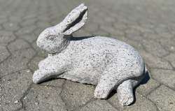 granit hare liggende
