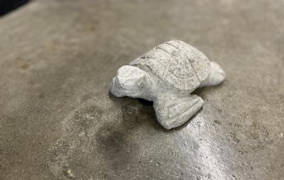 salg af Havskildpadde flere farver