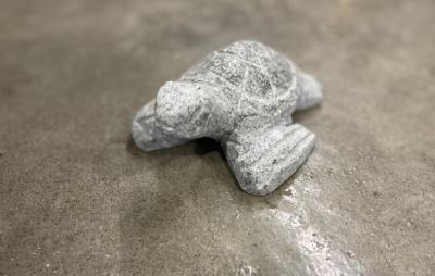 salg af Havskildpadde flere farver