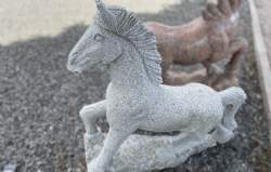 lysgrå hest