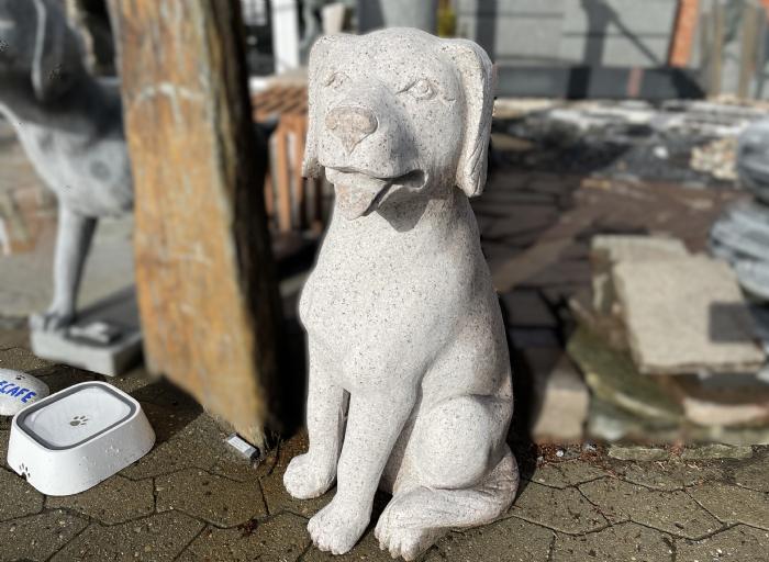 salg af Hund labrador rosa granit