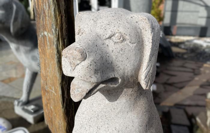 salg af Hund labrador rosa granit