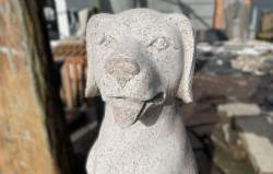 rosa granit hund