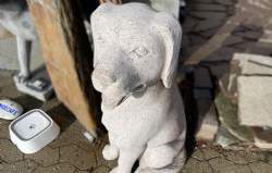 hund rosa granit