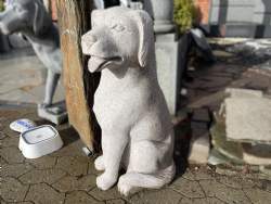 rosa hund granit