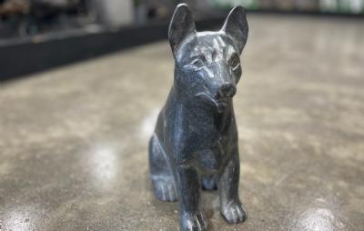 salg af Sort schæfer hund