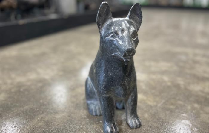 salg af Sort schæfer hund