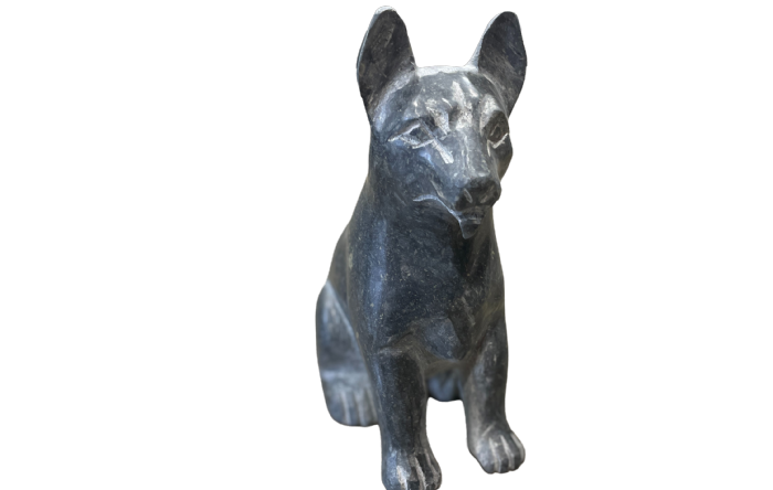 salg af Sort schæfer hund