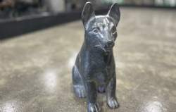 schæfer hund sort granit
