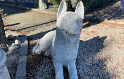 salg af Hund schæffer L110 cm
