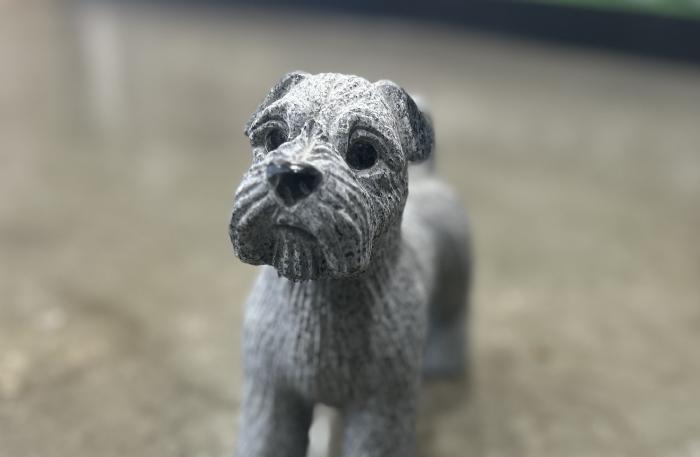 salg af Granit hund Schnauzer