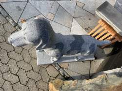 hund i grå grant