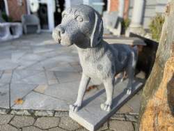 grå granit hund