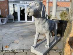 granit hund