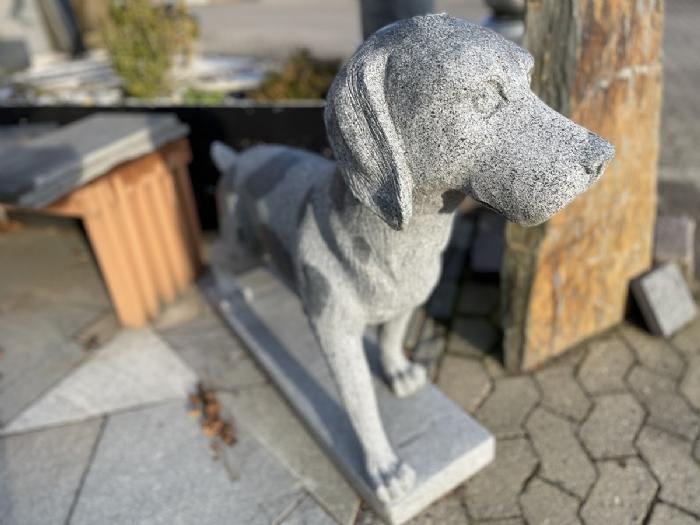 salg af Hund setter L100 cm gråsort