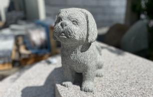 Hund Shih Tzu H 30 cm